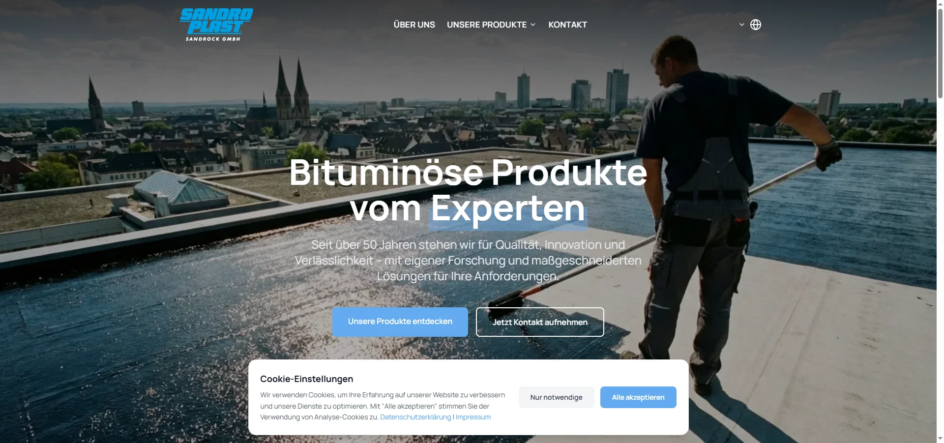 Screenshot der Website Sandroplast